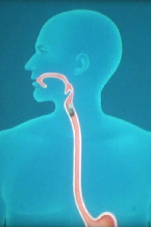 Nahrung und Verdauung Poster