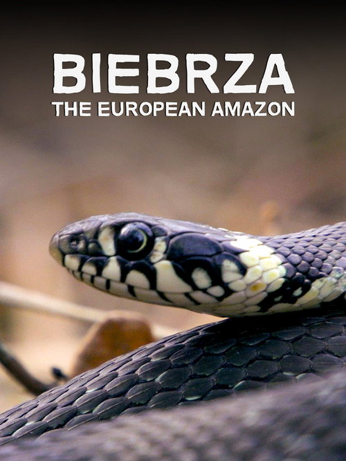 Biebrza: The European Amazon Poster