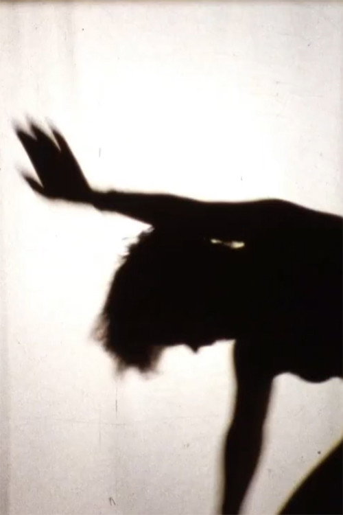 Freefall Poster