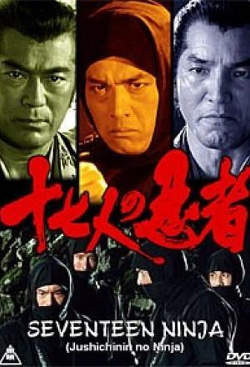 Seventeen Ninja Poster