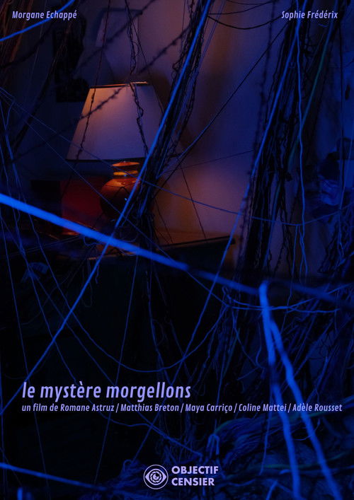 The Mystery of Morgellons Poster