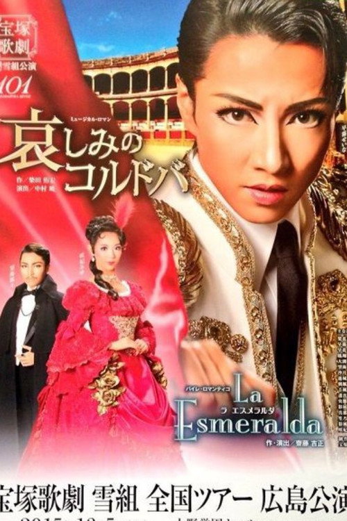 Sorrowful Córdoba Poster