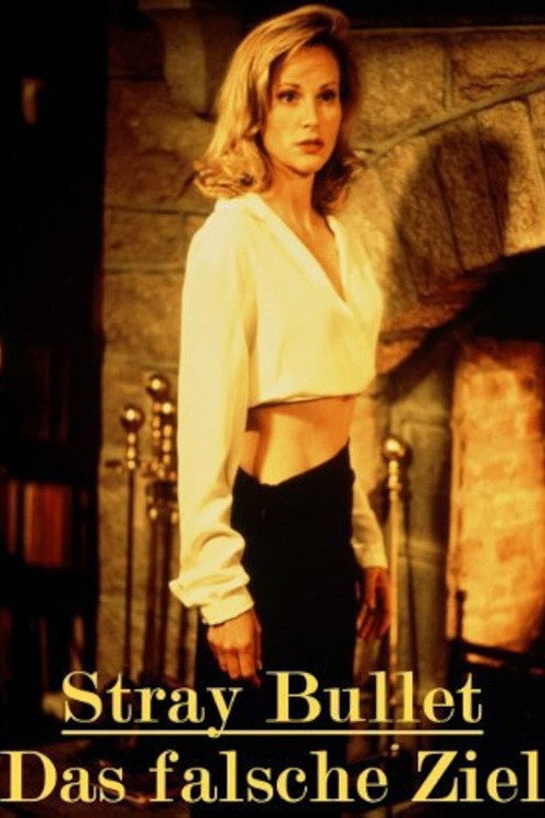 Stray Bullet Poster