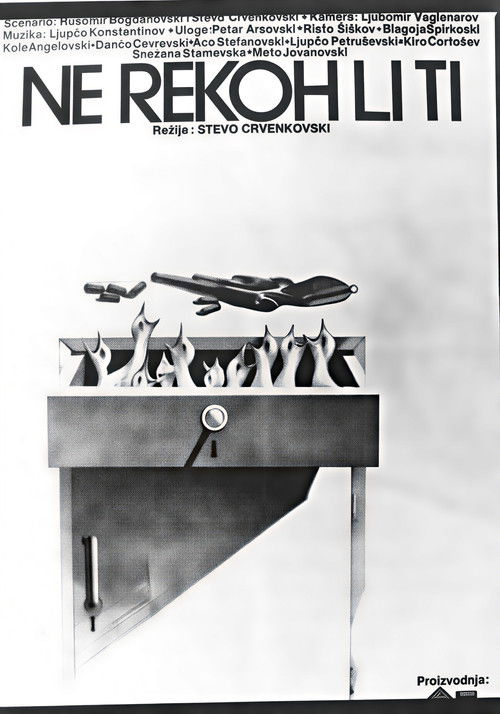 Haven't I Told You Poster