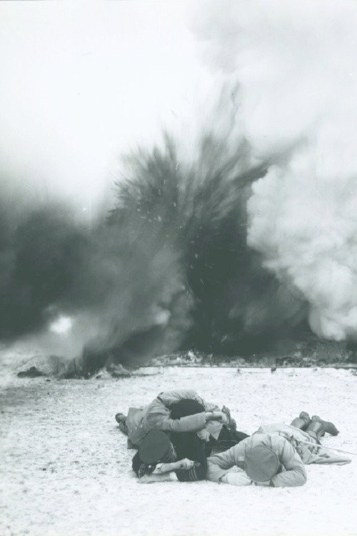 In Defense of the Nation Poster