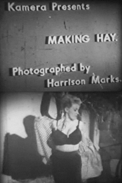 Making Hay Poster