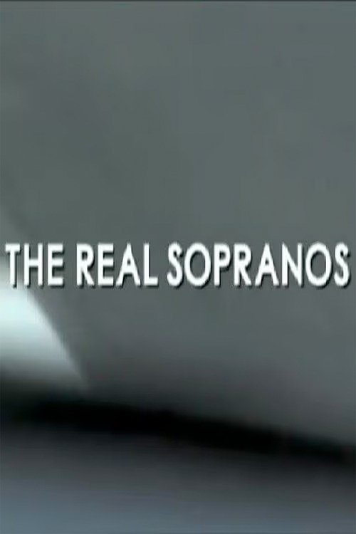 The Real Sopranos Poster