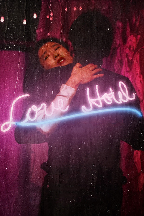 Love Hotel Poster
