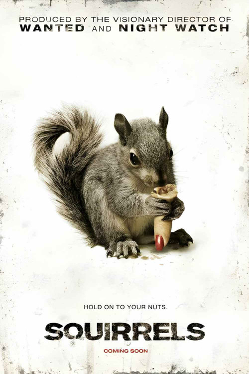 Squirrels Poster