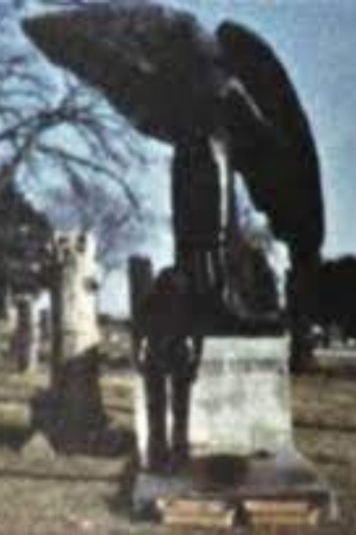 Black Angel Poster