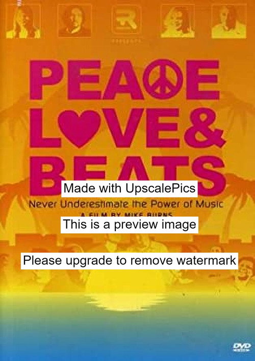 Peace Love & Beats Poster