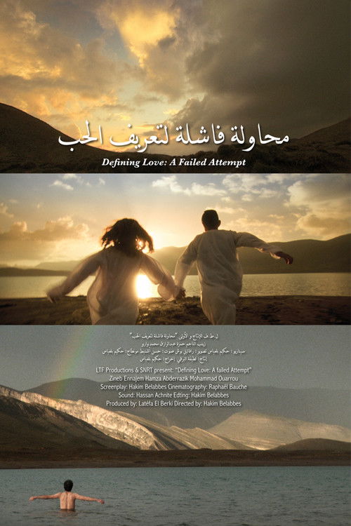 Defining Love: A Failed Attempt Poster