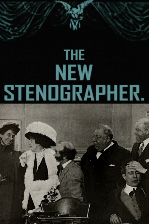 The New Stenographer Poster