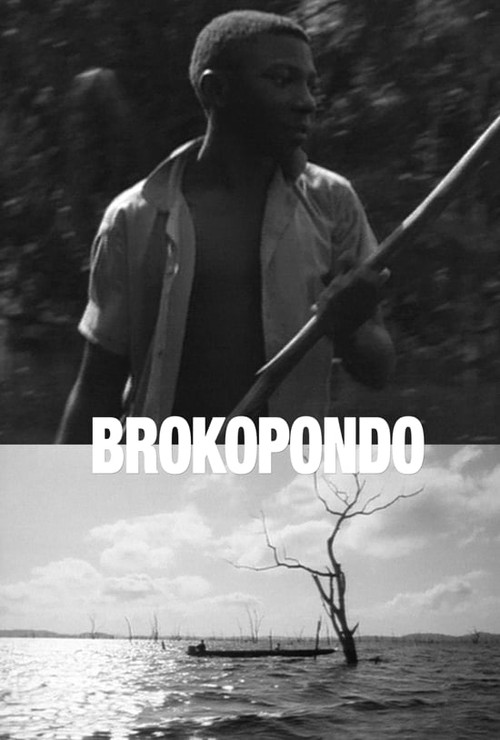 Brokopondo: Stories of a Drowned Land Poster