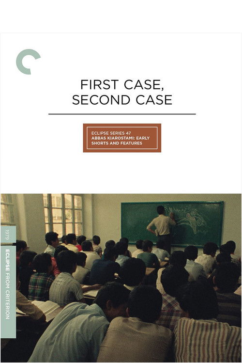 First Case, Second Case Poster