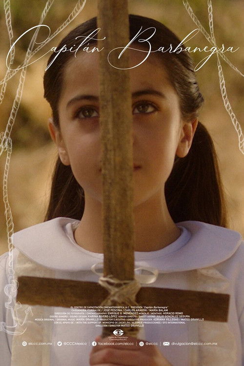 Captain Blackbeard Poster