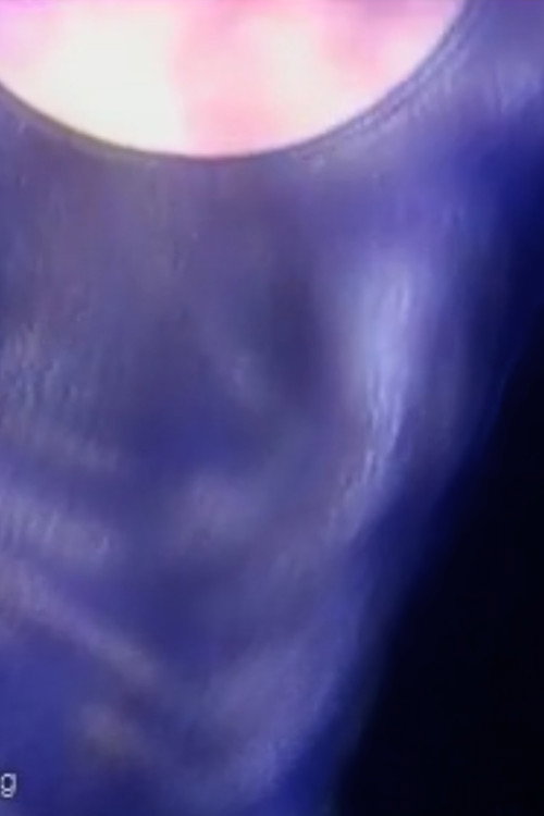 In the blink of an eye...(amphibian dreams)..."If I could fly I would fly" Poster