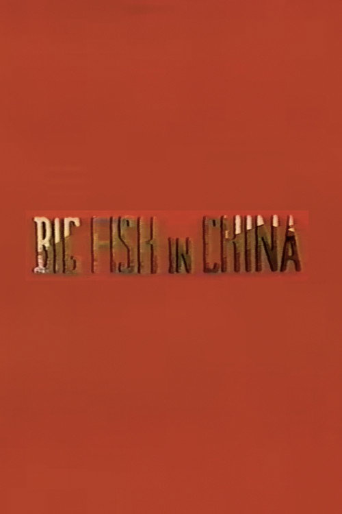 Big Fish in China Poster
