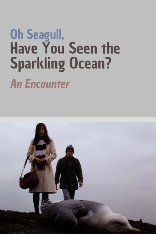 Oh Seagull, Have You Seen the Sparkling Ocean? An Encounter Poster