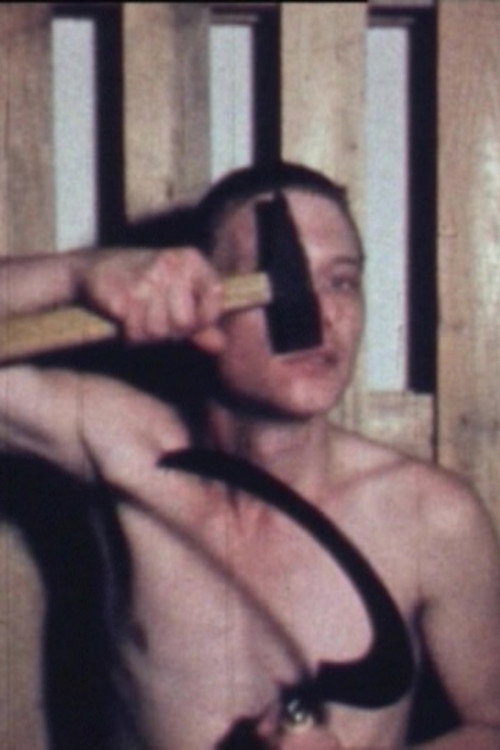 Hammer and Sickle Poster