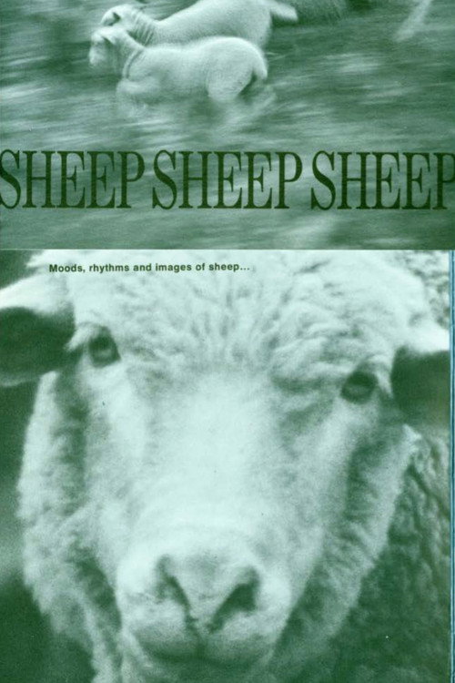 Sheep, Sheep, Sheep Poster