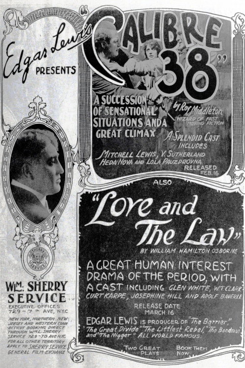 Love and the Law Poster