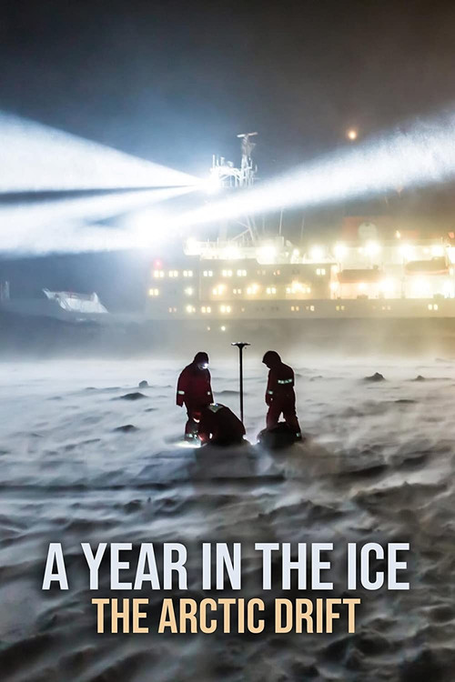 A Year in the Ice: The Arctic Drift Poster