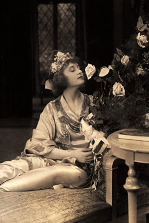 In Pursuit of Polly Poster