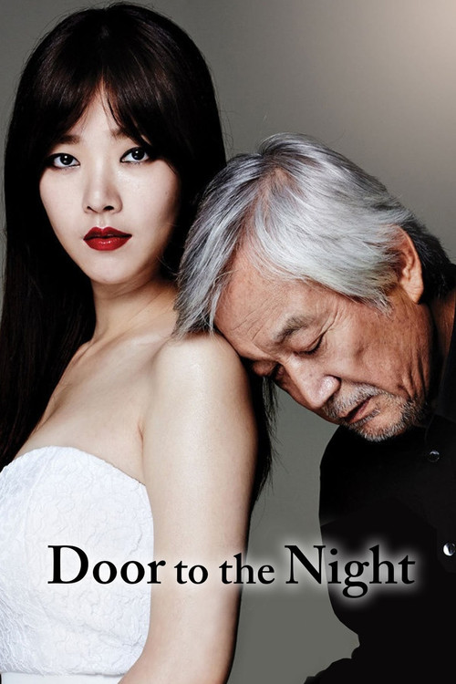 Door to the Night Poster