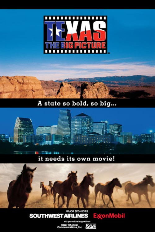 Texas: The Big Picture Poster