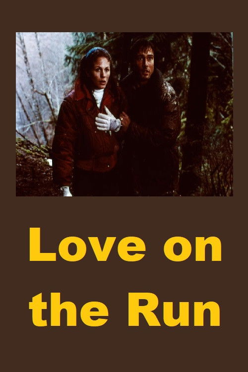 Love on the Run Poster