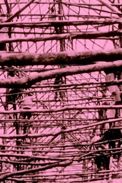 Tobacco Culture in Deli Poster