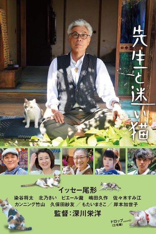 Teacher and Stray Cat Poster