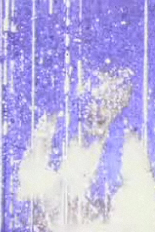 Schildmeyer Darlaten Poster