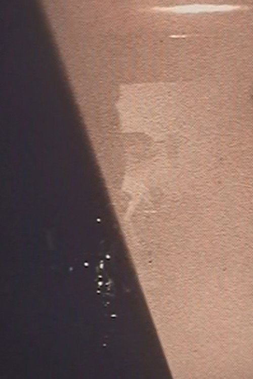 Tanzan session Poster