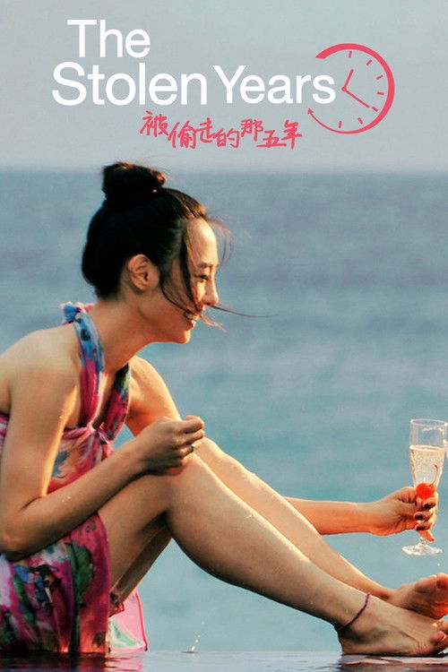 The Stolen Years Poster