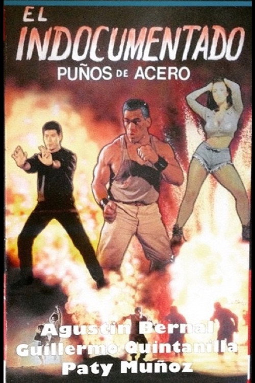 Puños de acero Poster