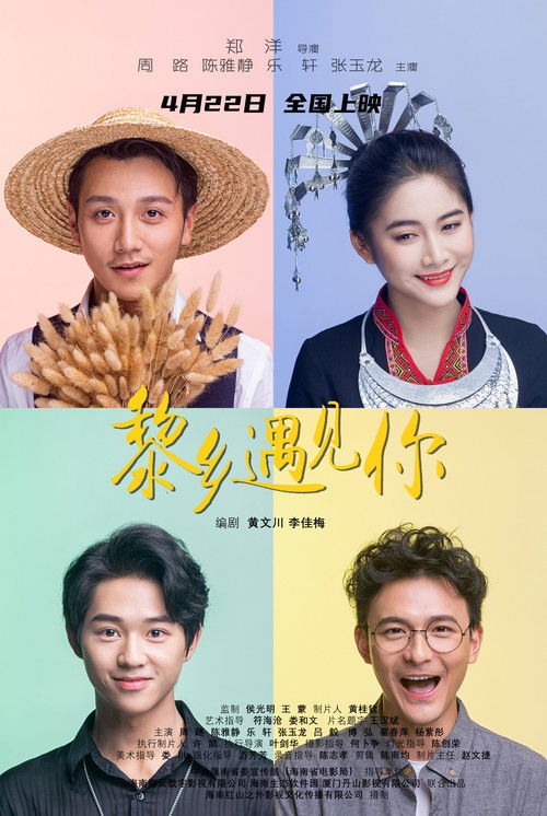 Meeting You in Hainan Island Poster