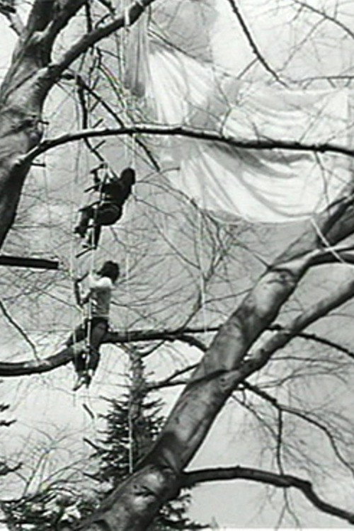 Tree Dance Poster