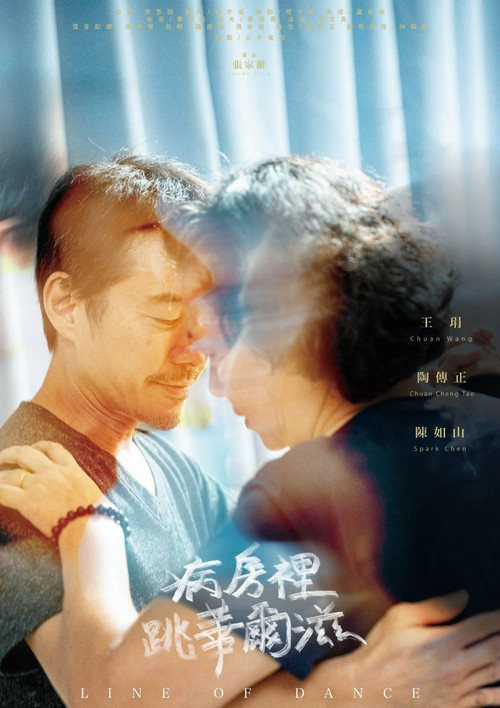 Line of Dance Poster