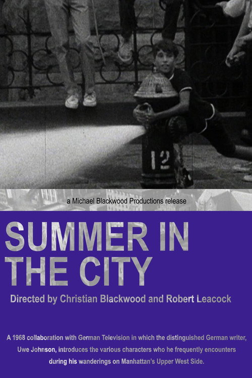 Summer in the City Poster