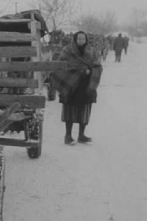 90 Days a Year Poster