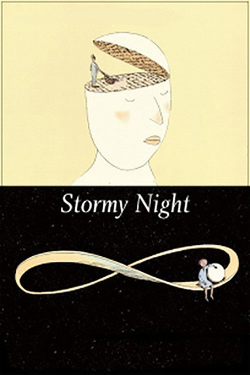 Stormy Night Poster