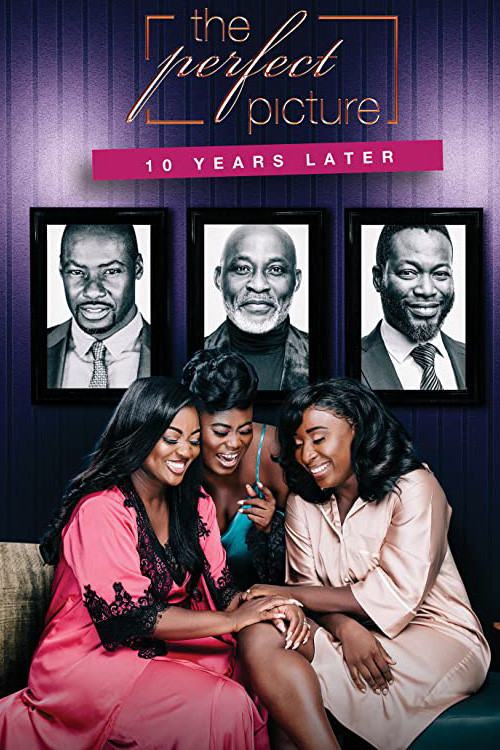 The Perfect Picture: Ten Years Later Poster
