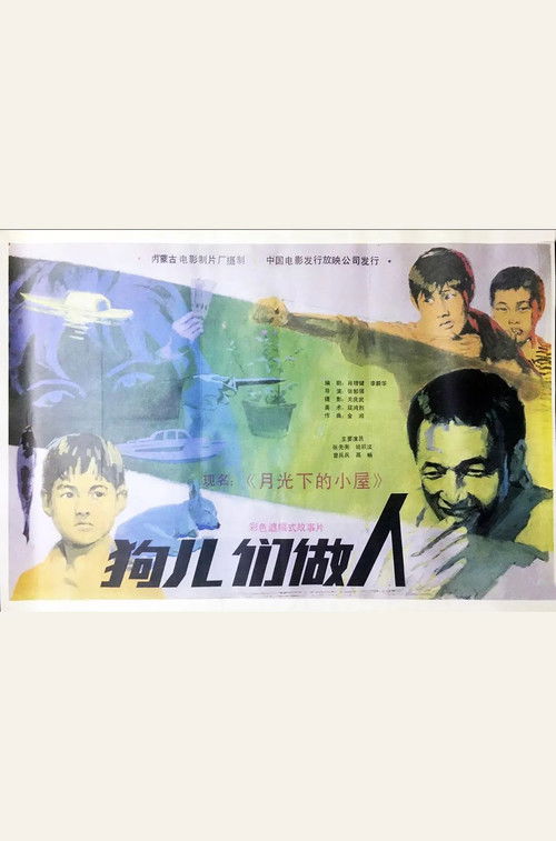 The Little House Under the Moon Poster