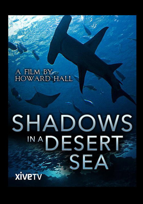 Shadows in a Desert Sea Poster