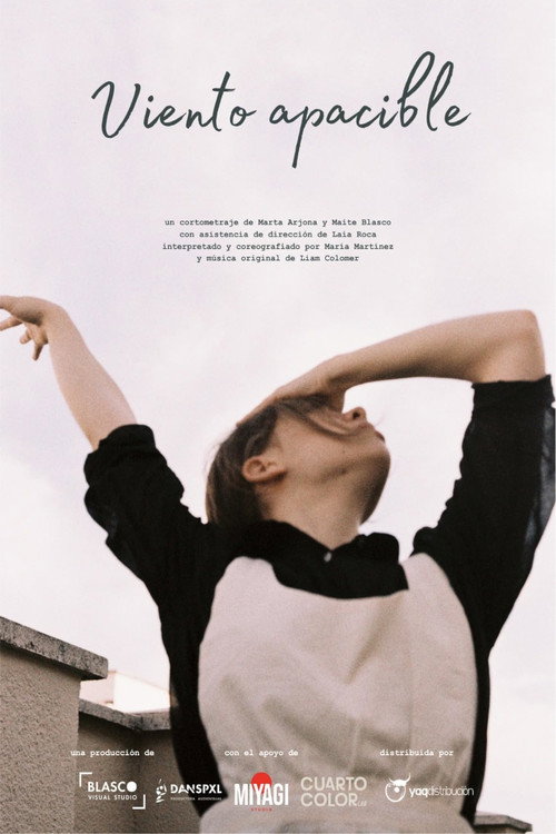 Viento Apacible Poster