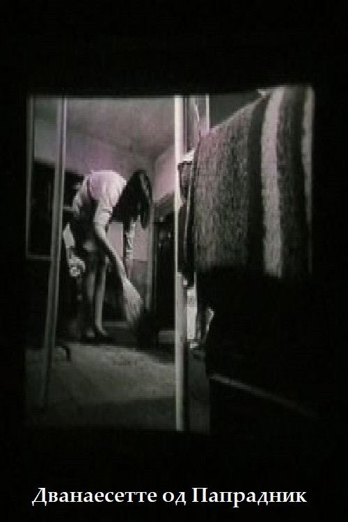 The Twelve Teachers of Papradnik Poster