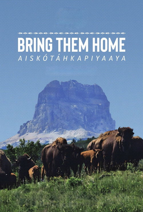 Bring Them Home Poster