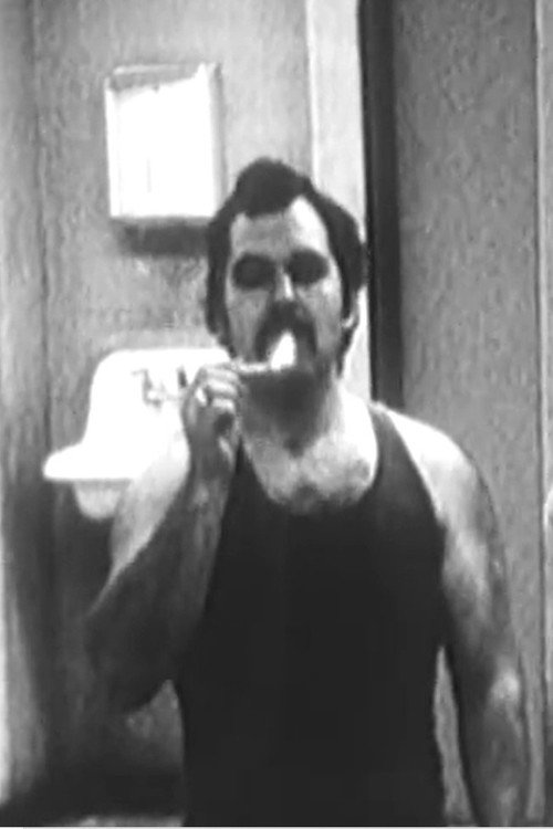 Gemini Fire Extension Poster